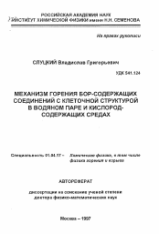 Автореферат по физике на тему «Механизм горения бор-содержащих соединений с клеточной структурой в водяном паре и кислород-содержащих средах»