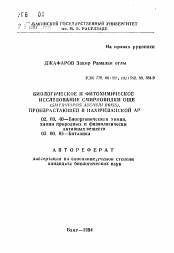 Автореферат по химии на тему «Биологическое и фитохимическое исследование смирновидки Оше (Smyrniopsis aucheri Boiss), произрастающей в Нахичеванской АР»