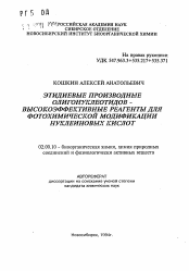 Автореферат по химии на тему «Этидиевые производные олигонуклеотидов - высокоэффективные реагенты для фотохимической модификации нуклеиновых кислот»