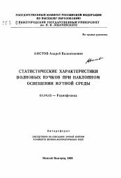 Автореферат по физике на тему «Статистические характеристики волновых пучков при наклонном освещении мутной среды»