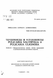 Автореферат по химии на тему «Терпеноиды и флавоноиды PULICARIA SALVIIFOLIA и PULICARIA ULIGINOSA»